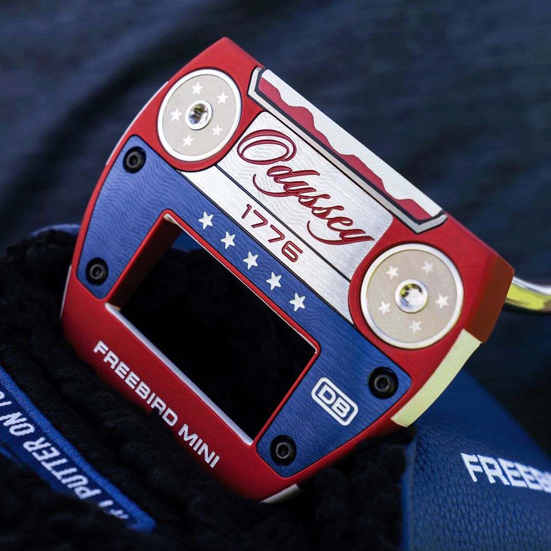 Odyssey USA 250 Ai Dual Freebird Mini DB Putter product image