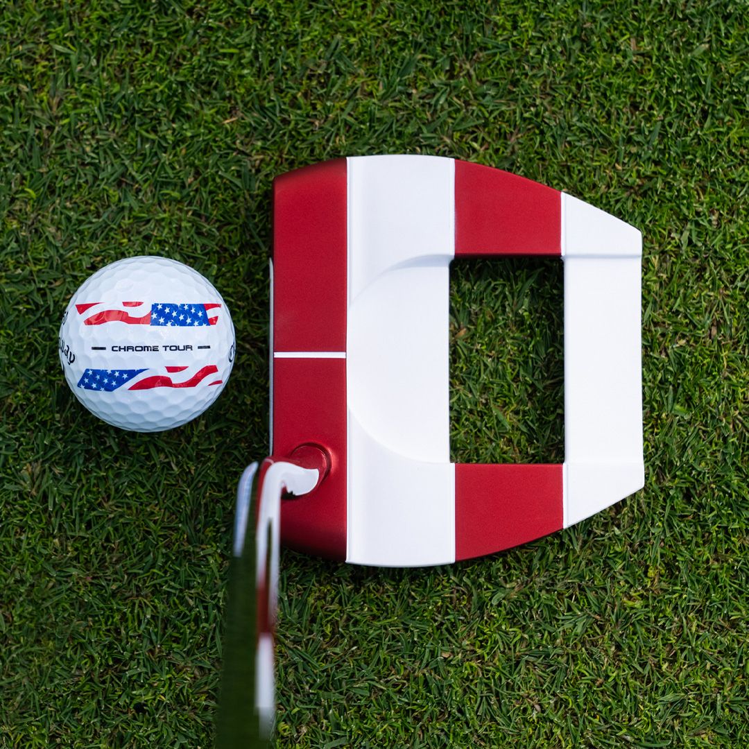 Odyssey USA 250 Ai Dual Freebird DB Putter product image