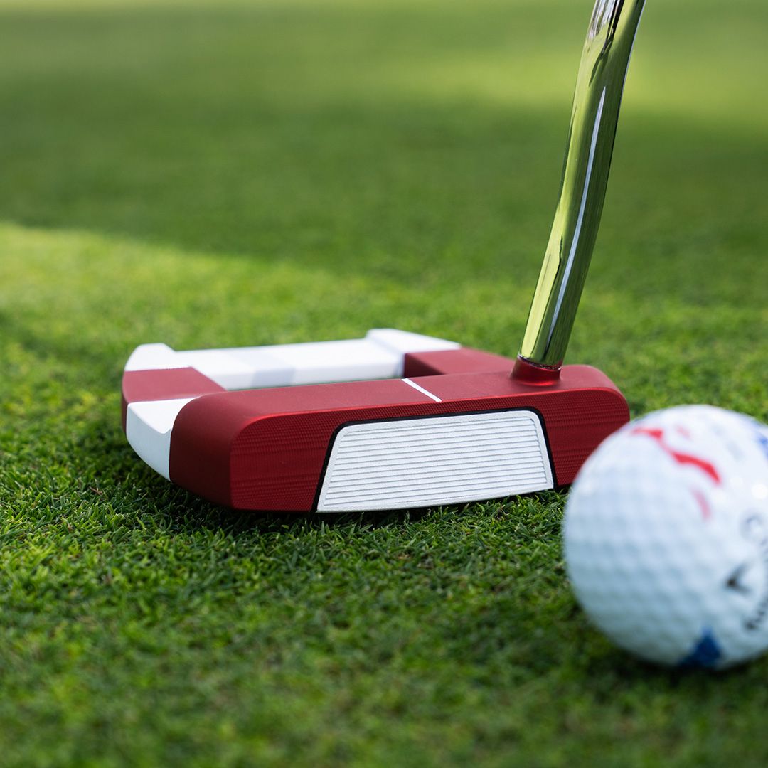 Odyssey USA 250 Ai Dual Freebird DB Putter product image