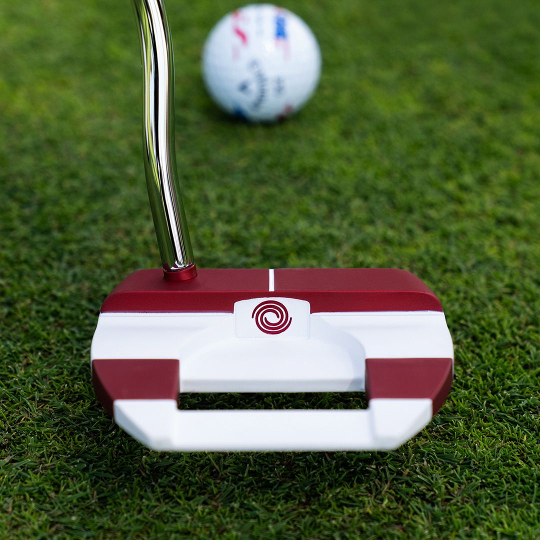 Odyssey USA 250 Ai Dual Freebird DB Putter product image