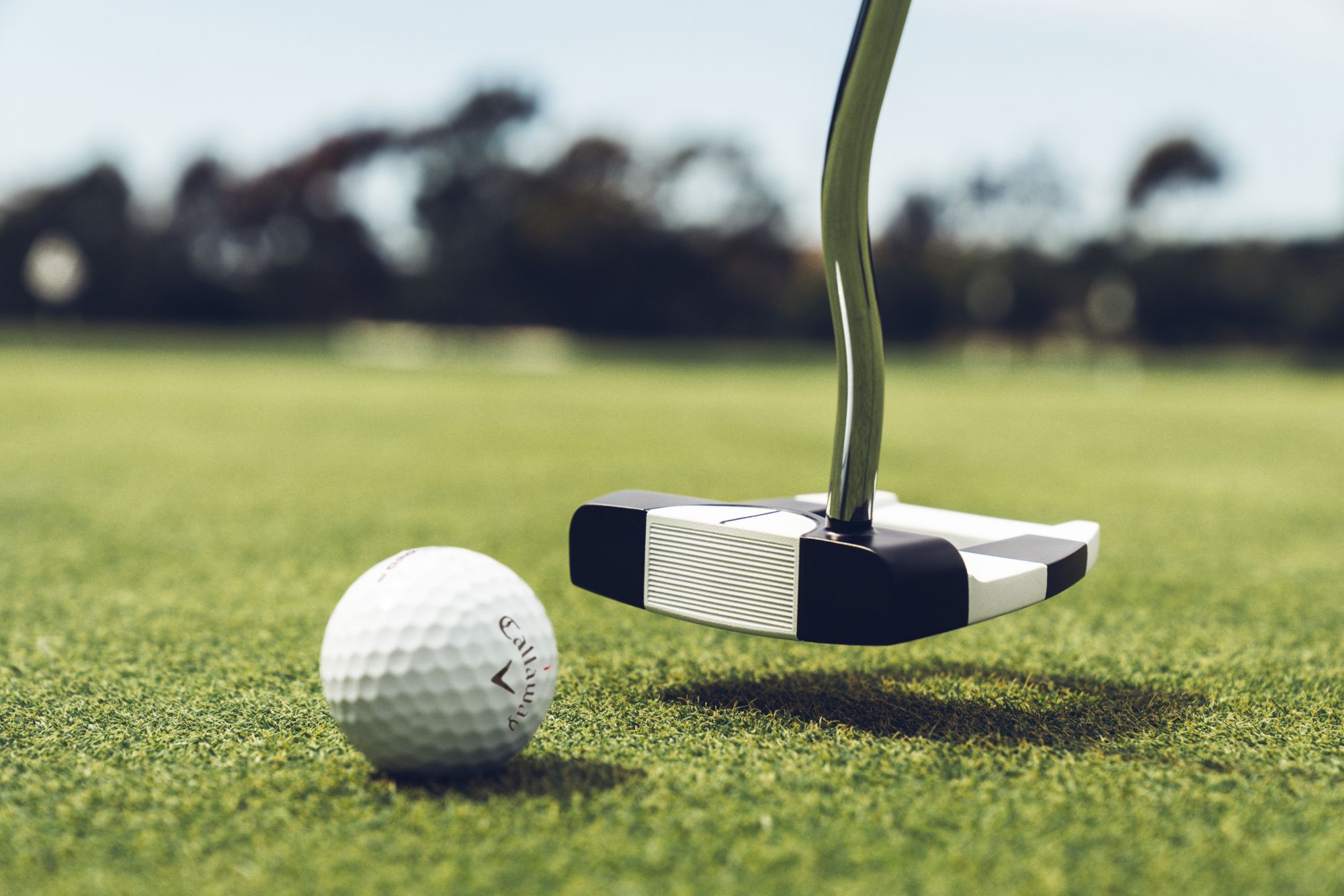 Odyssey USA 250 Ai Dual Freebird DB Putter product image