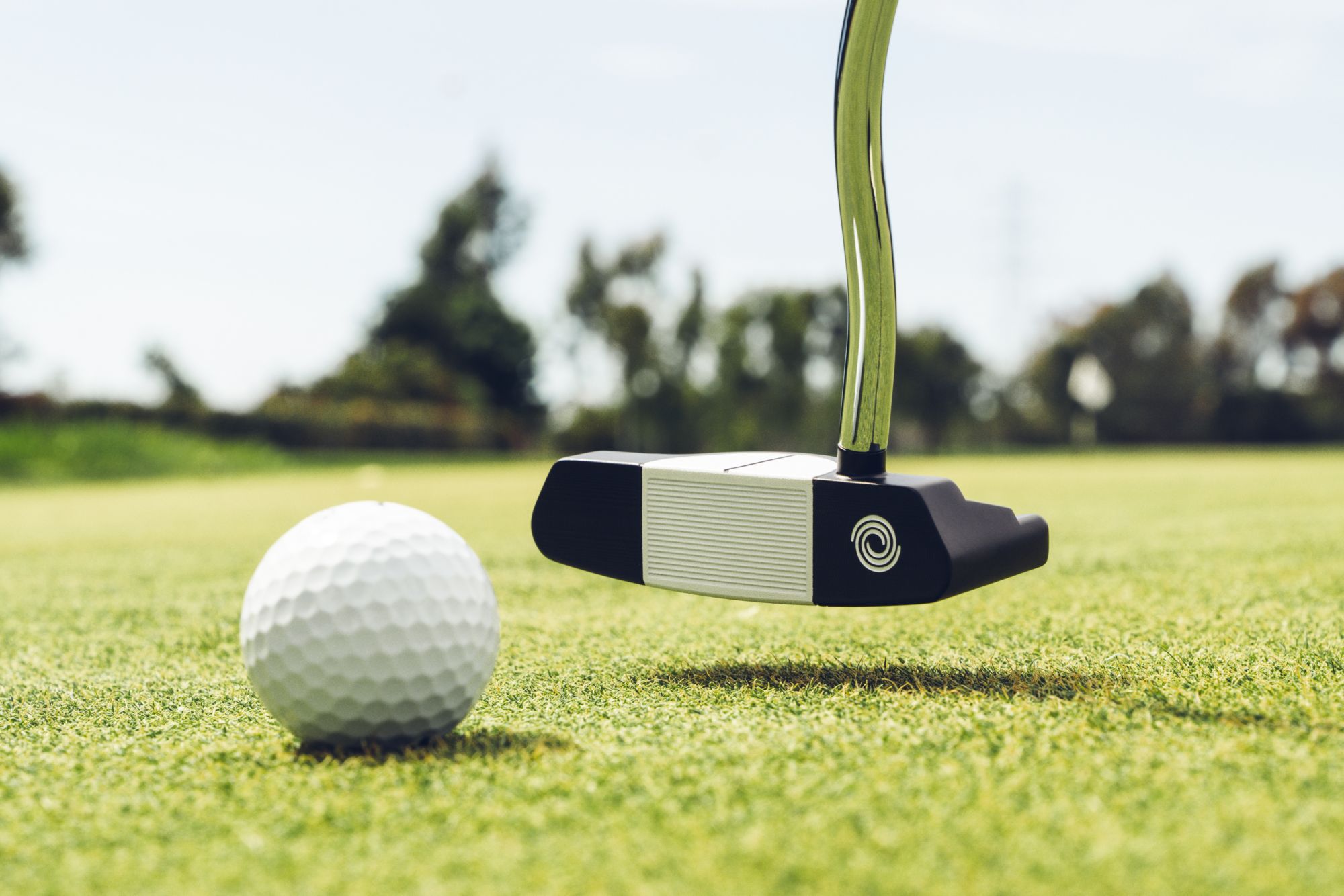 Odyssey Ai-DUAL Double Wide 1/2 Ball DB Putter product image