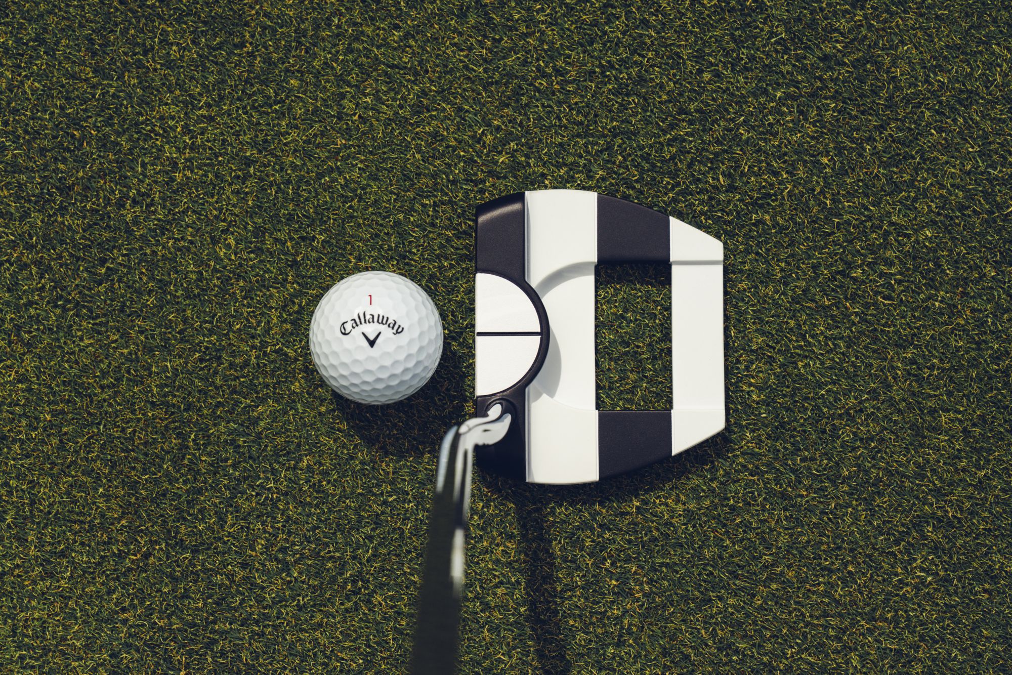 Odyssey Ai-DUAL Jailbird Mini 1/2 Ball DB Putter product image