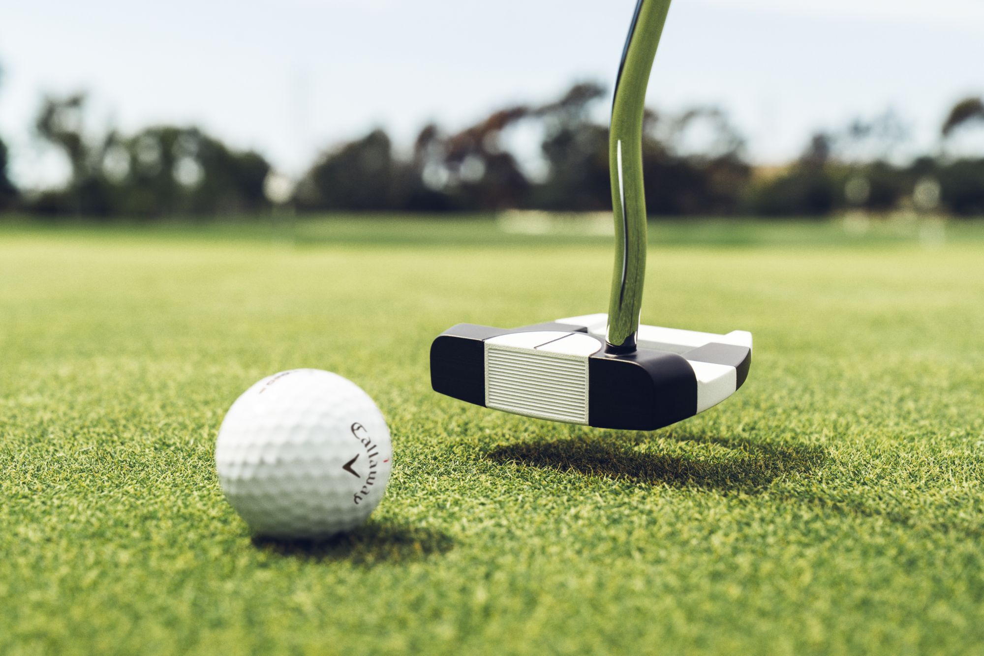 Odyssey Ai-DUAL Jailbird Mini 1/2 Ball DB Putter product image