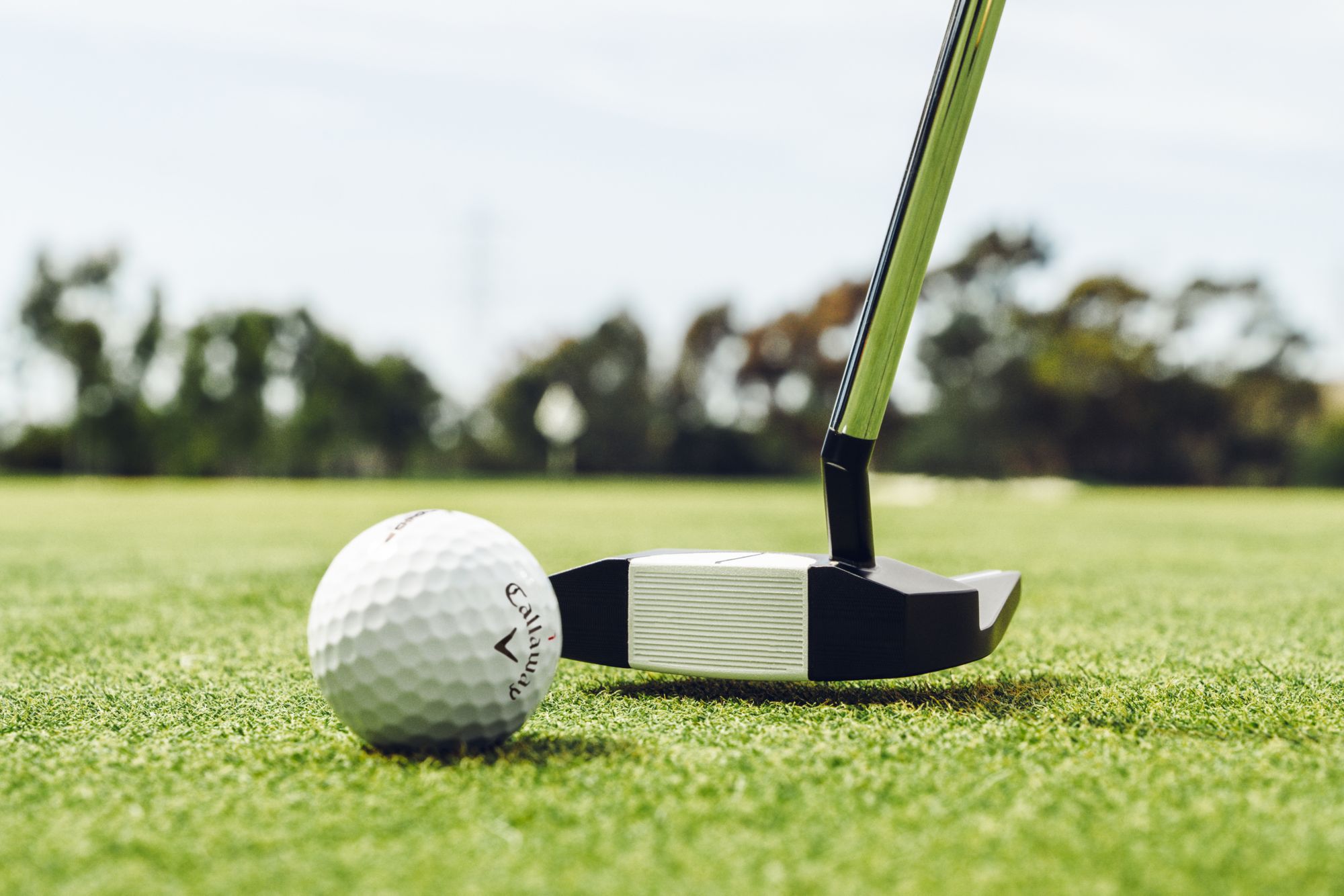 Odyssey Ai-DUAL #7 1/2 Ball S Putter product image