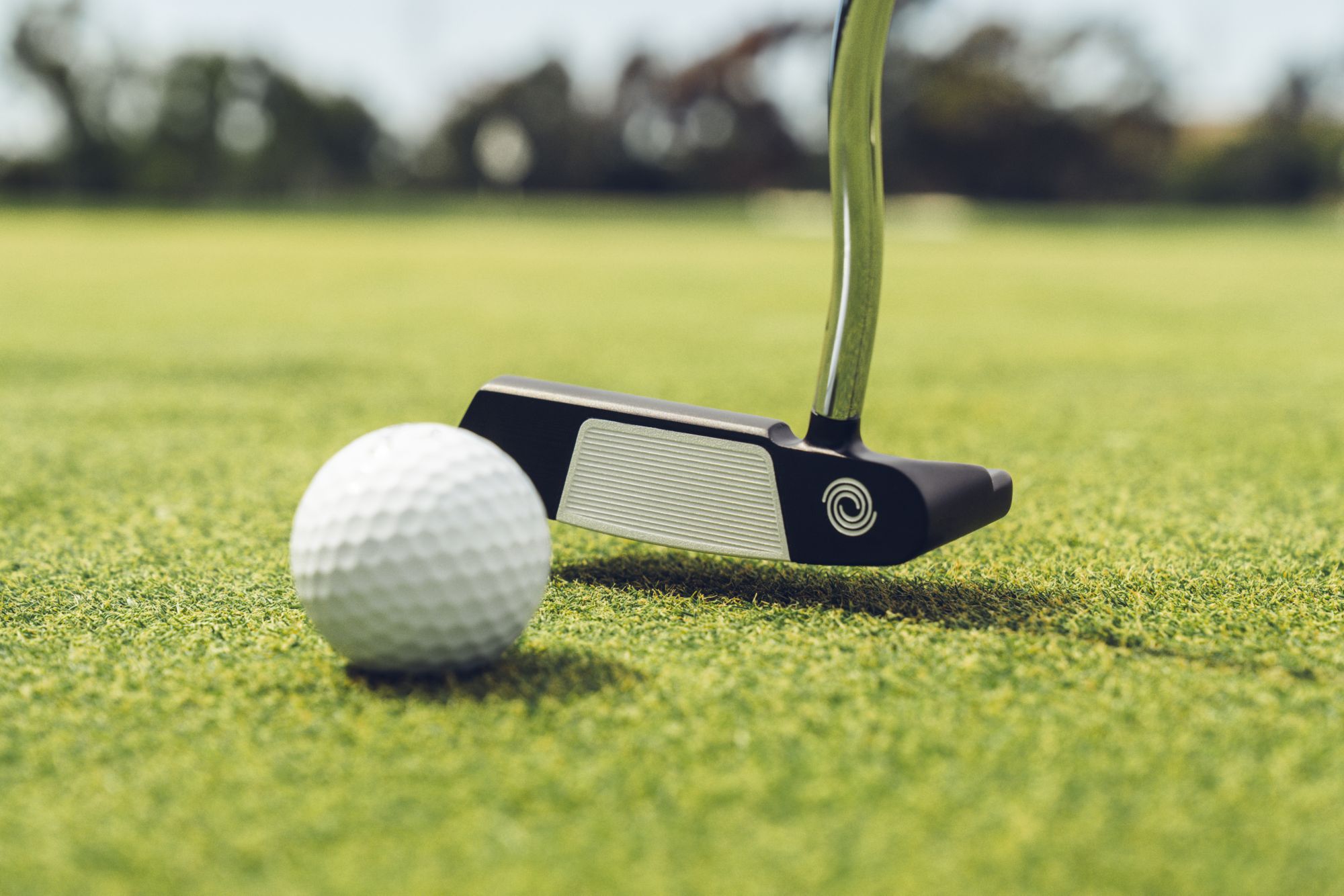 Odyssey Ai-DUAL Double Wide DB Putter product image