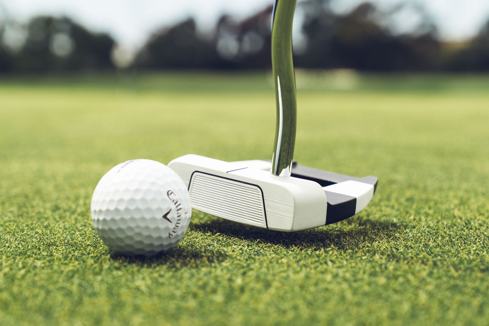 Odyssey Ai-DUAL Jailbird Mini DB Putter product image