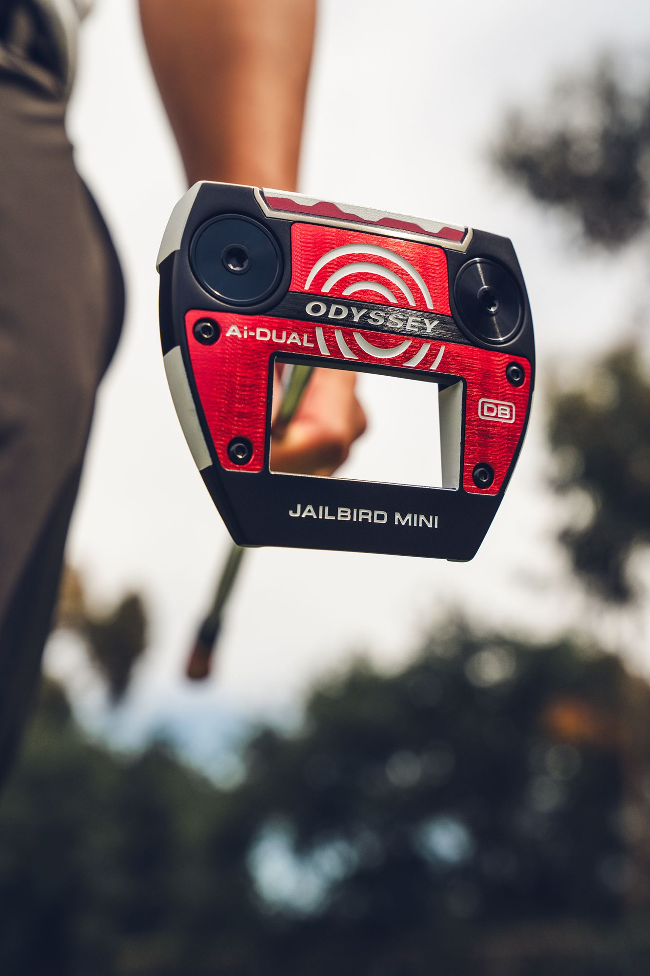 Odyssey Ai-DUAL Jailbird Mini DB Putter product image