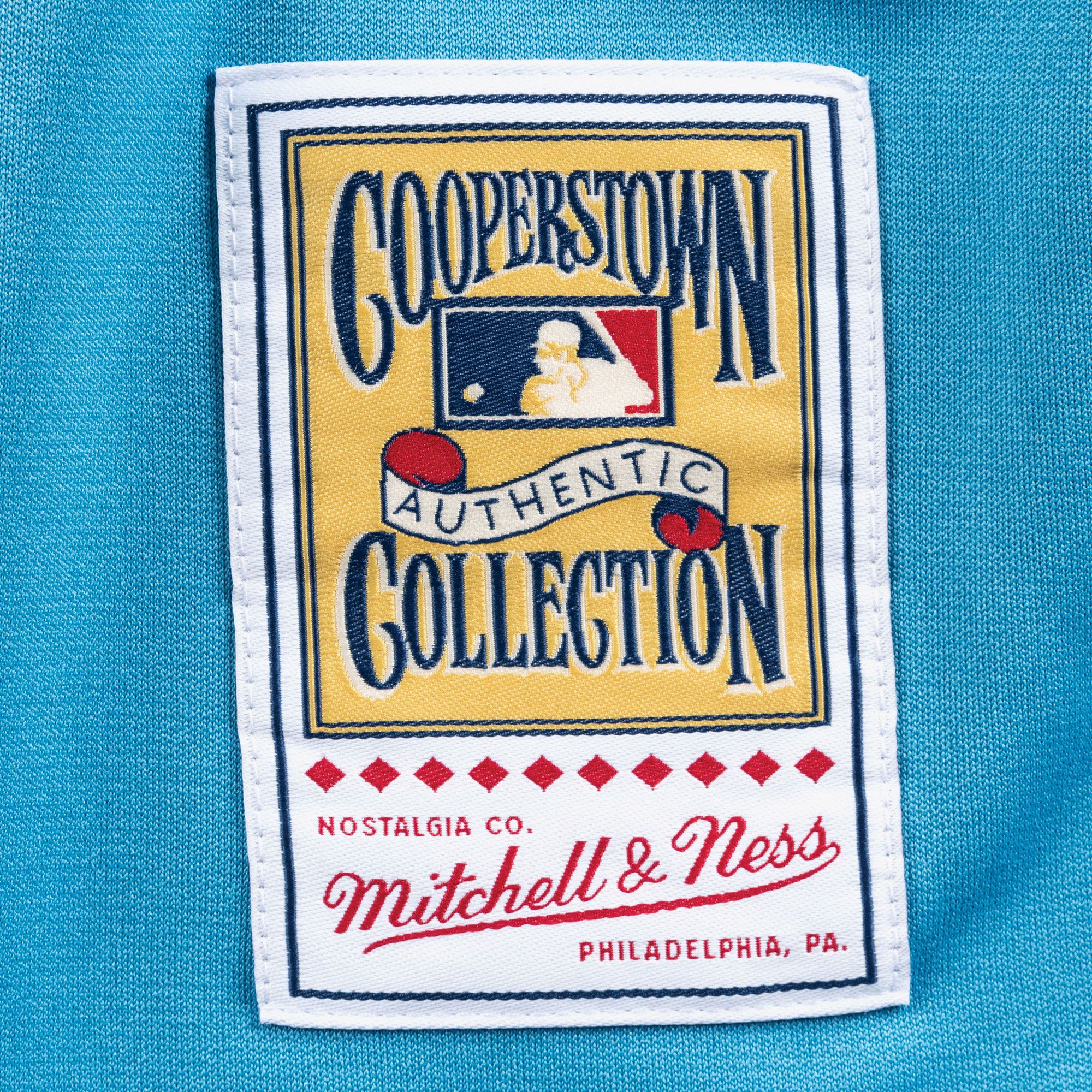Mitchell & Ness Men's Mike Schmidt #20 Philadelphia Phillies Blue Authentic Jersey product image
