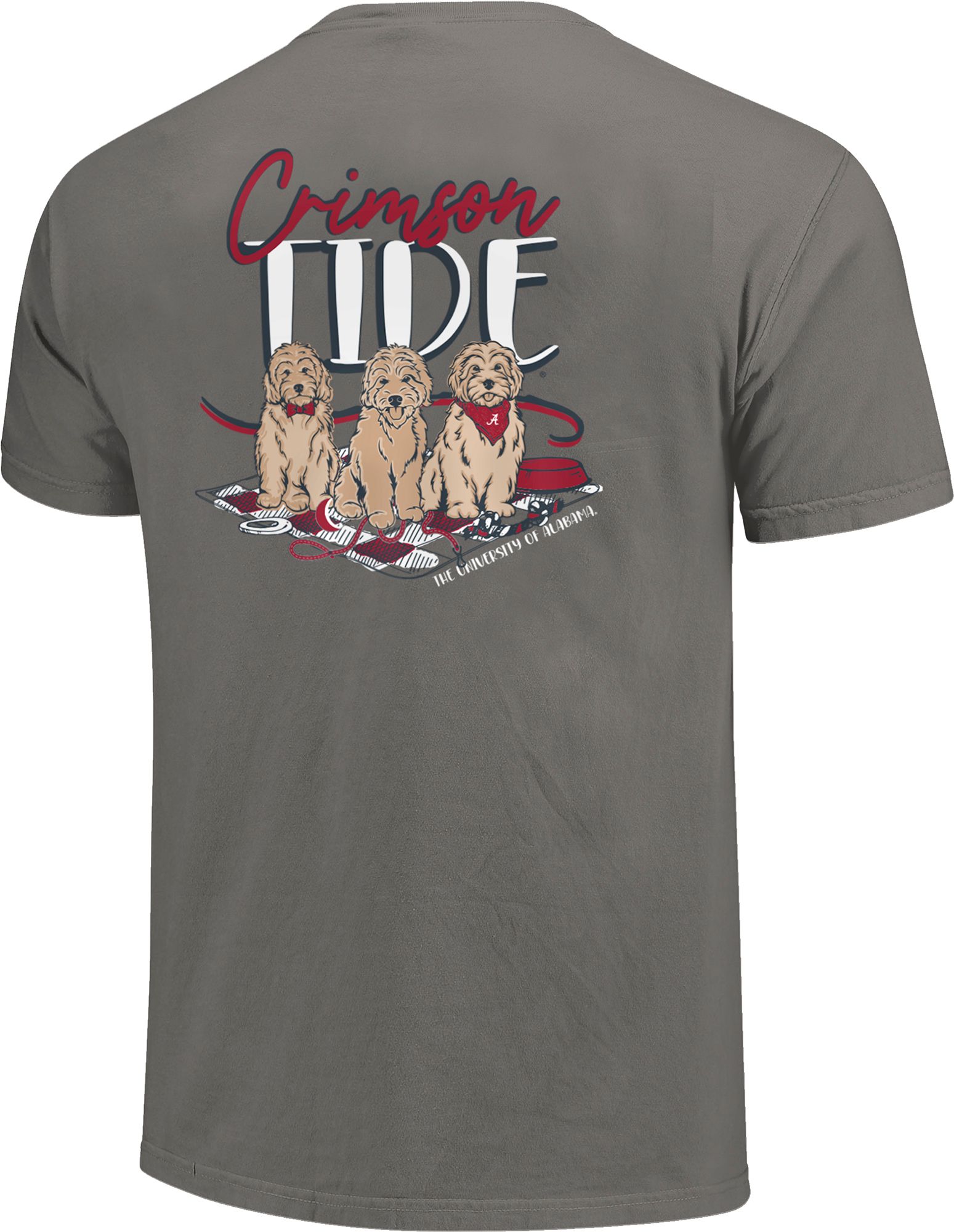 Image One Adult Alabama Crimson Tide Grey Picnic Friends T-Shirt