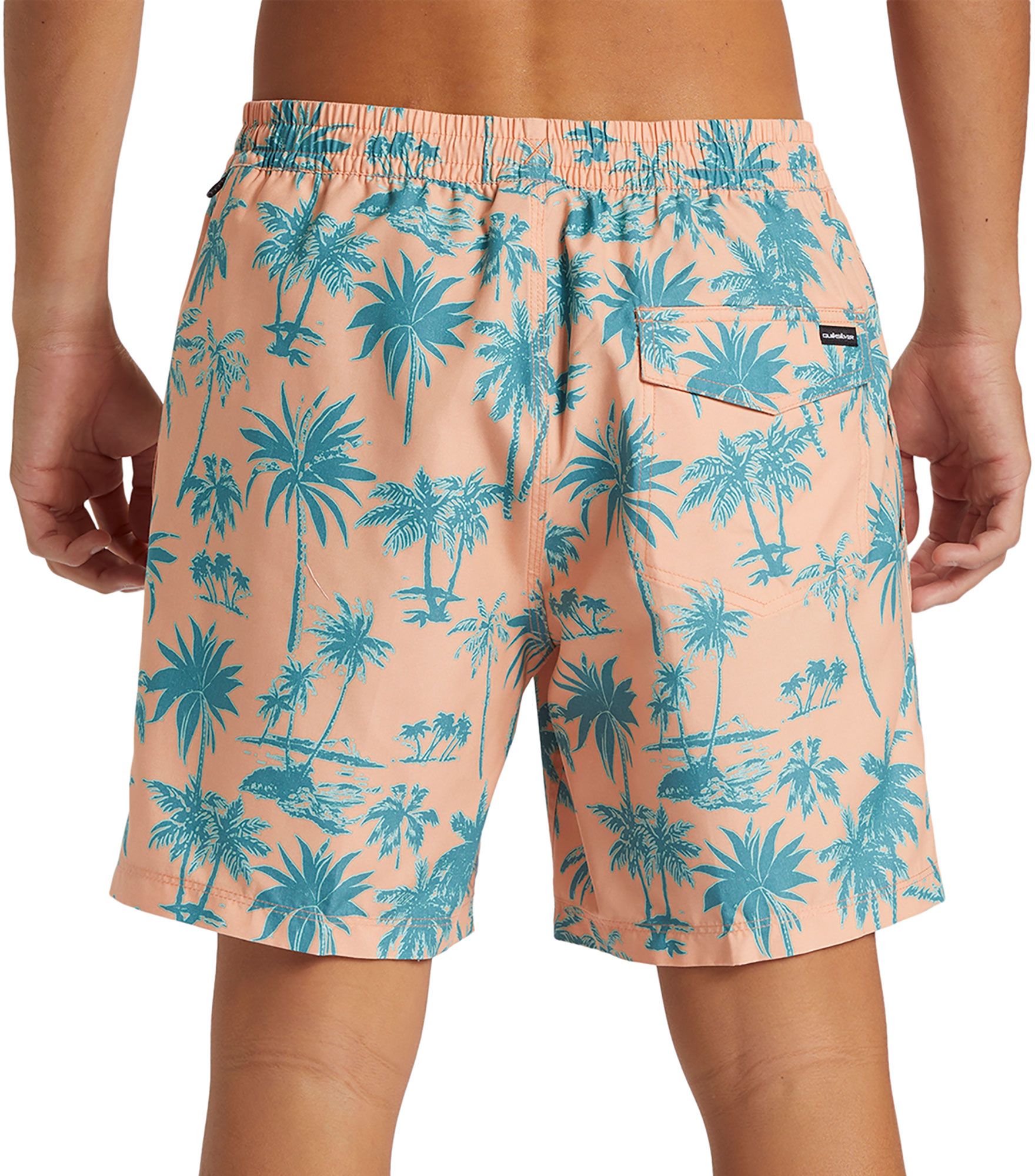 Quiksilver Men's Coastal Volley Swim Shorts product image