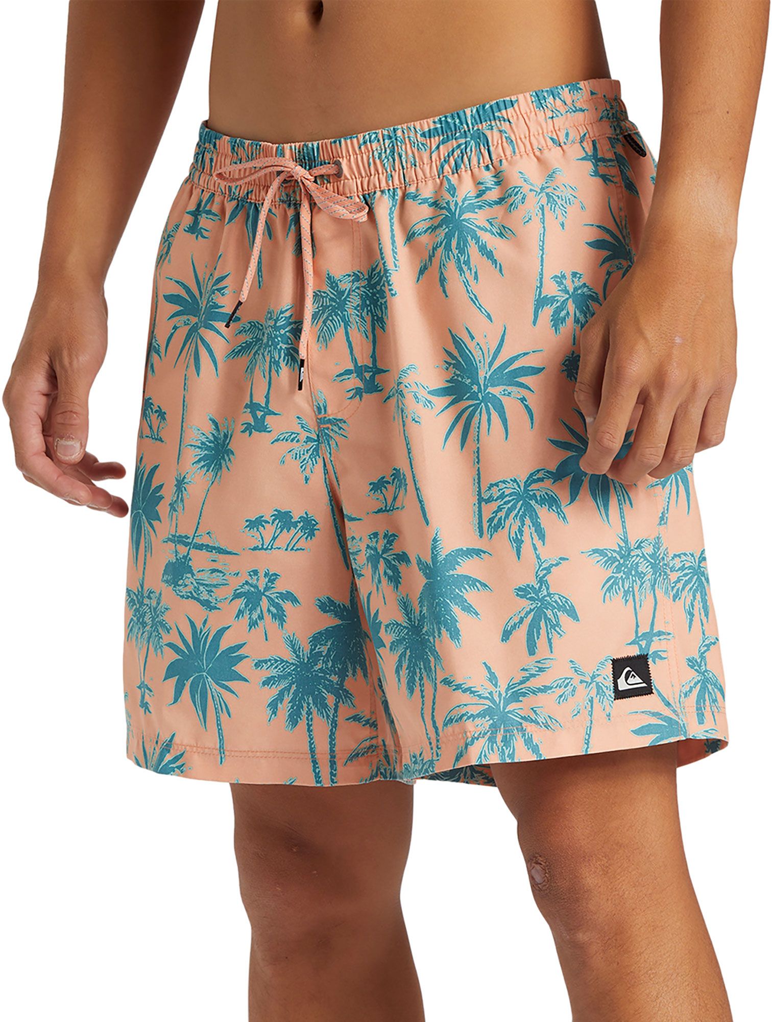 Quiksilver Men's Coastal Volley Swim Shorts product image