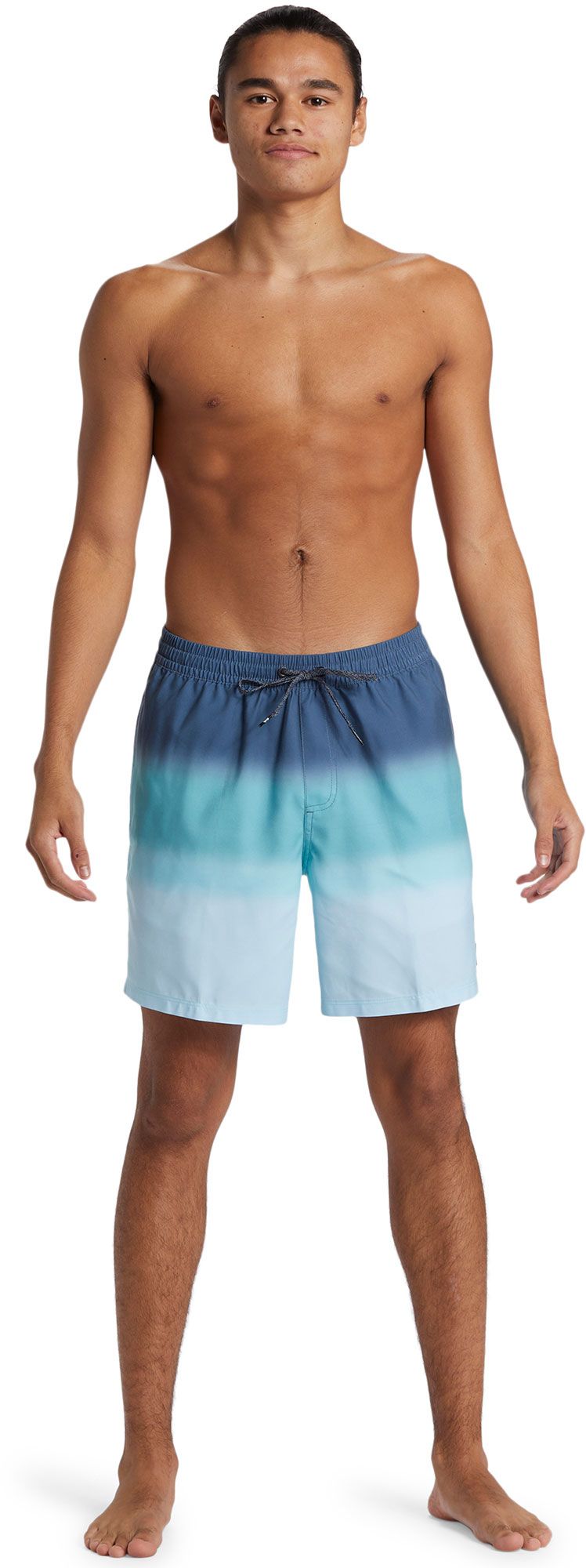 Quiksilver Men's Simmer Street 15" Swim Trunks product image