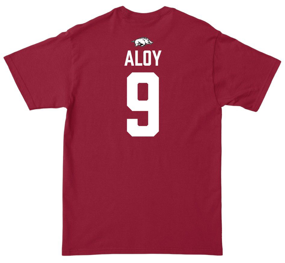 Campus Ink Youth Arkansas Razorbacks Wehiwa Aloy #9 Crimson T-Shirt product image