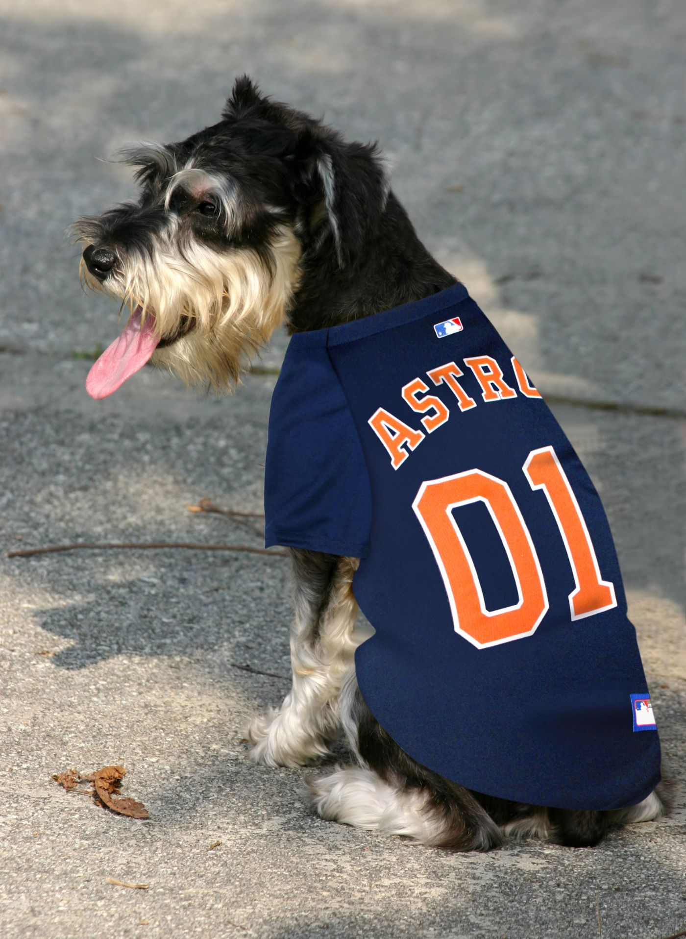 Houston astros dog jersey top