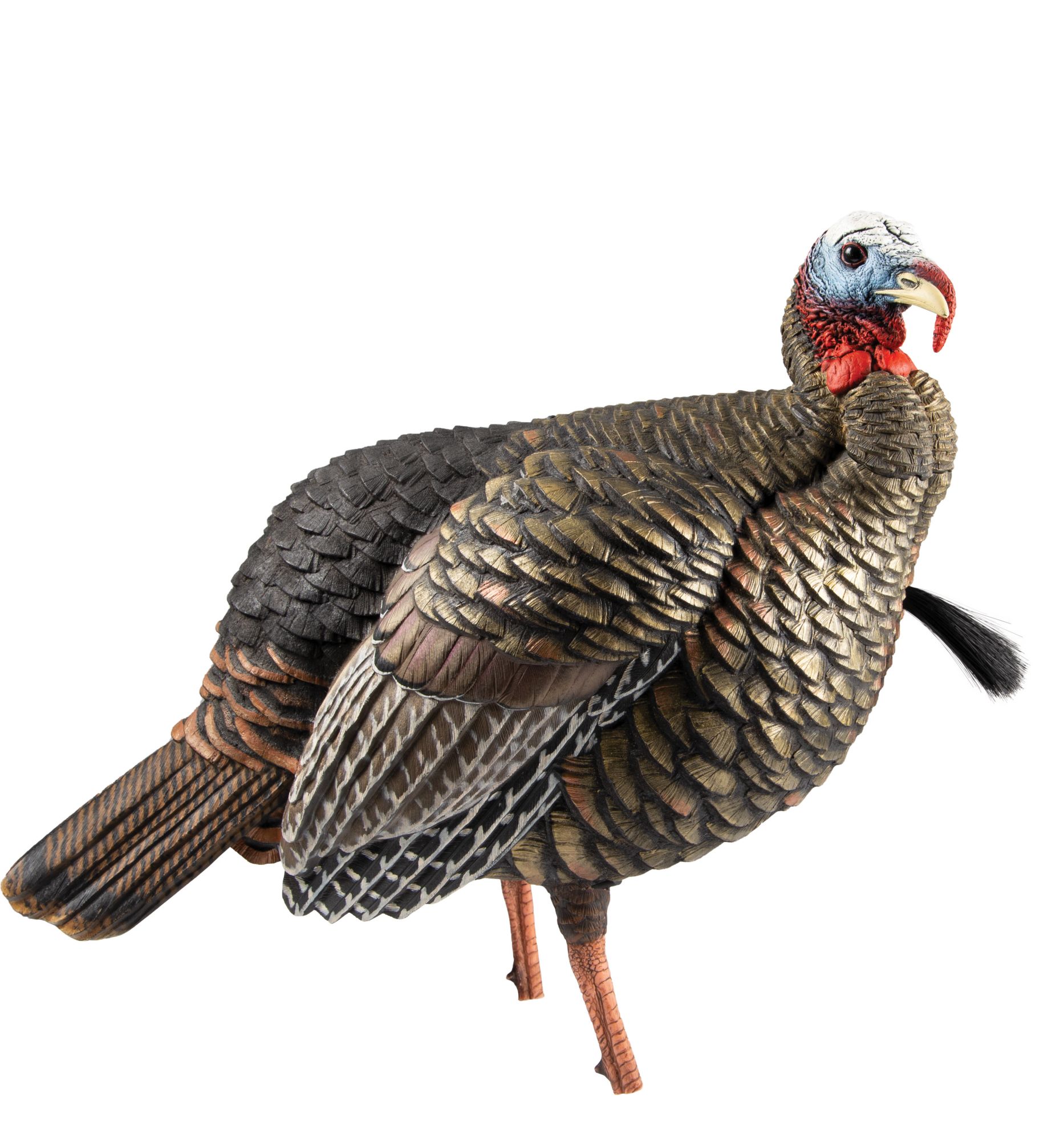 Avian Blow Molded Jake Turkey Decoy product image