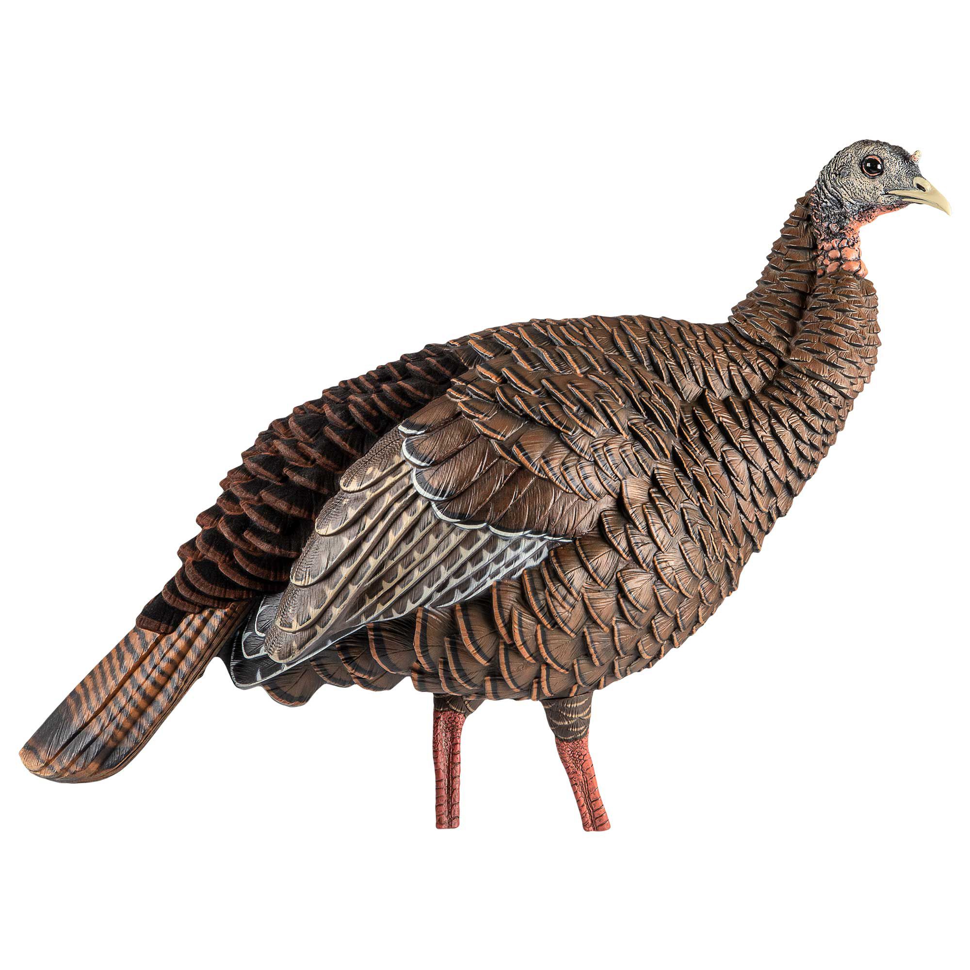 AvianX HDR Hen Decoy product image