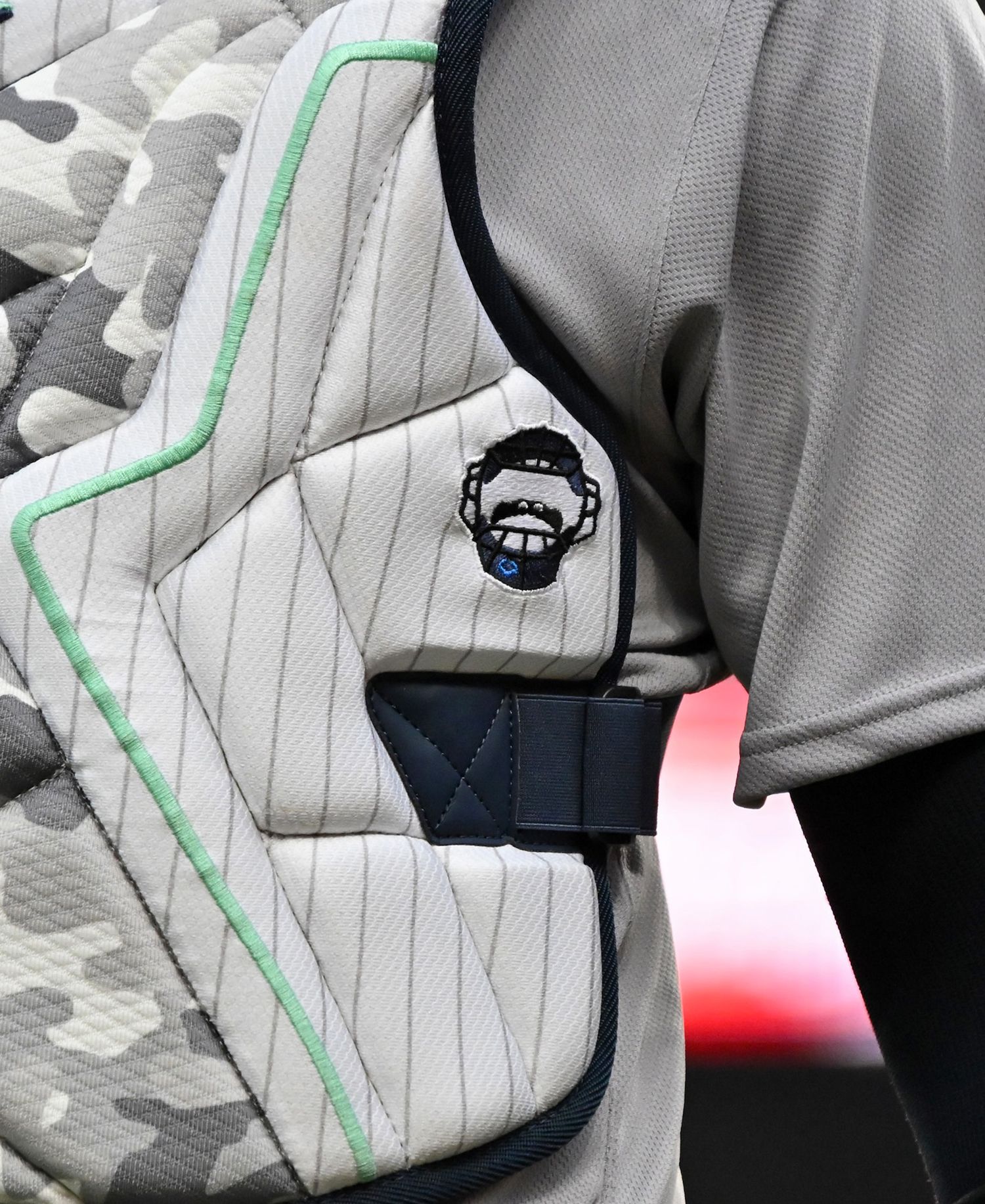 EvoShield Adult Austin Wells STMNT-SRZ Baseball Catcher's Chest Protector product image