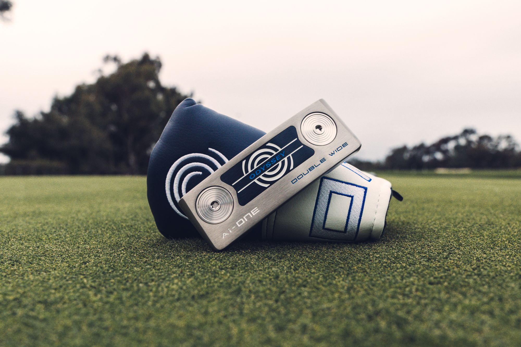 Odyssey Ai-One Double Wide DB Putter product image