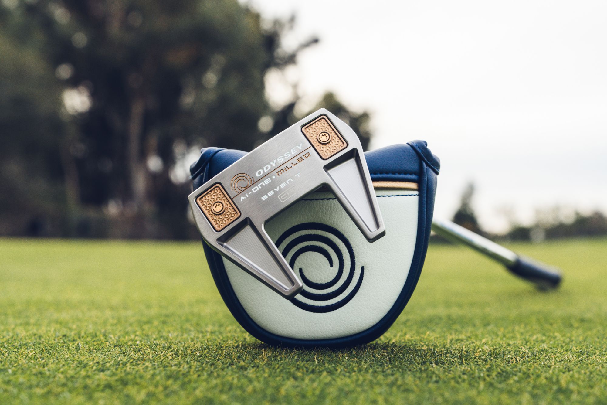 Odyssey Ai-One Milled 7 T CH Putter product image