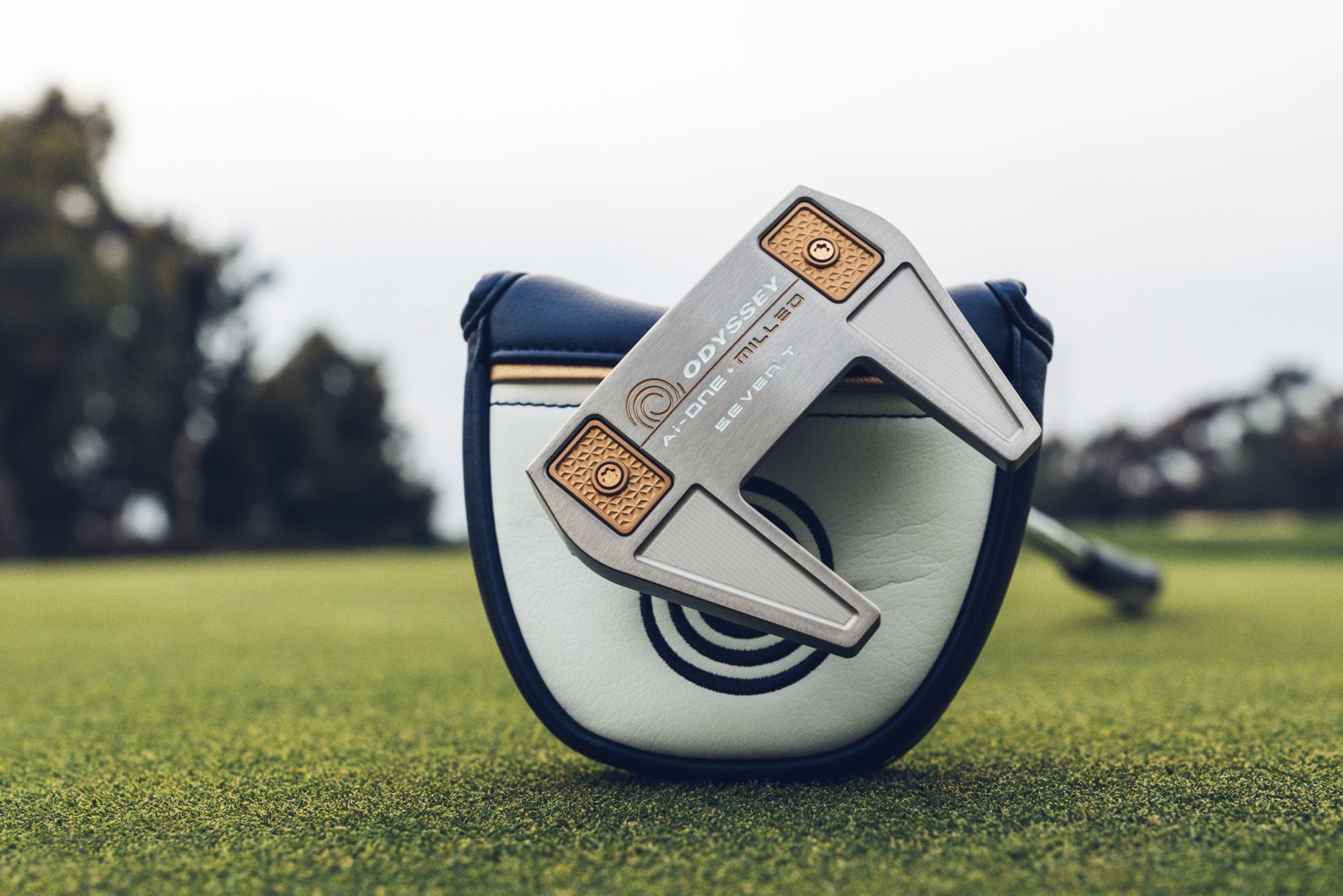 Odyssey Ai-One Milled 7 T DB Putter product image