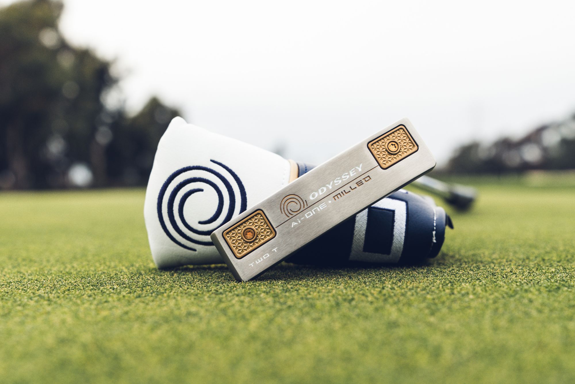Odyssey Ai-One Milled Two T CH Putter product image
