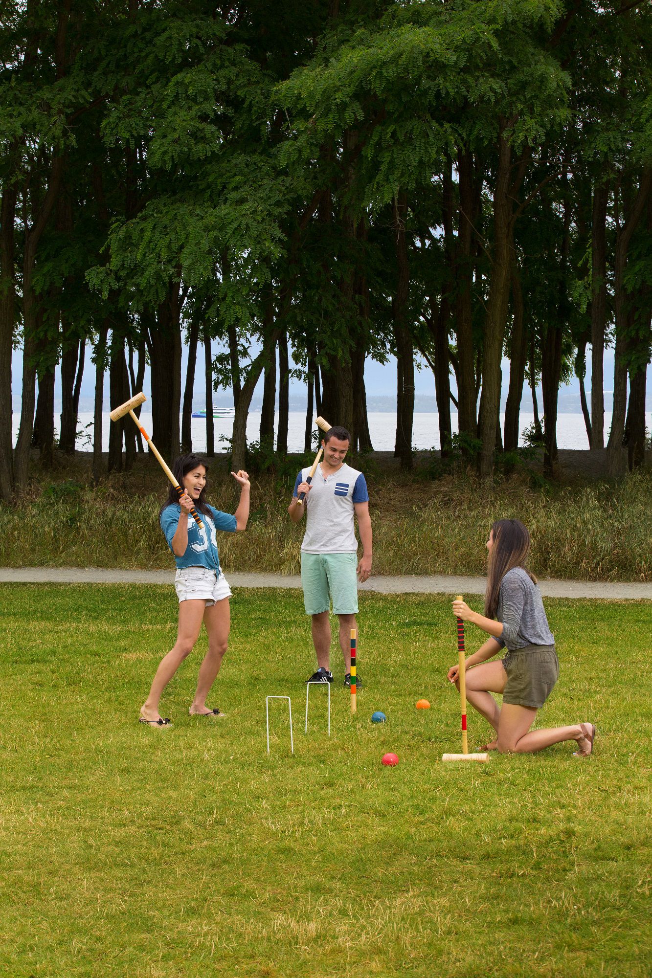 Baden Deluxe Series Croquet Set product image