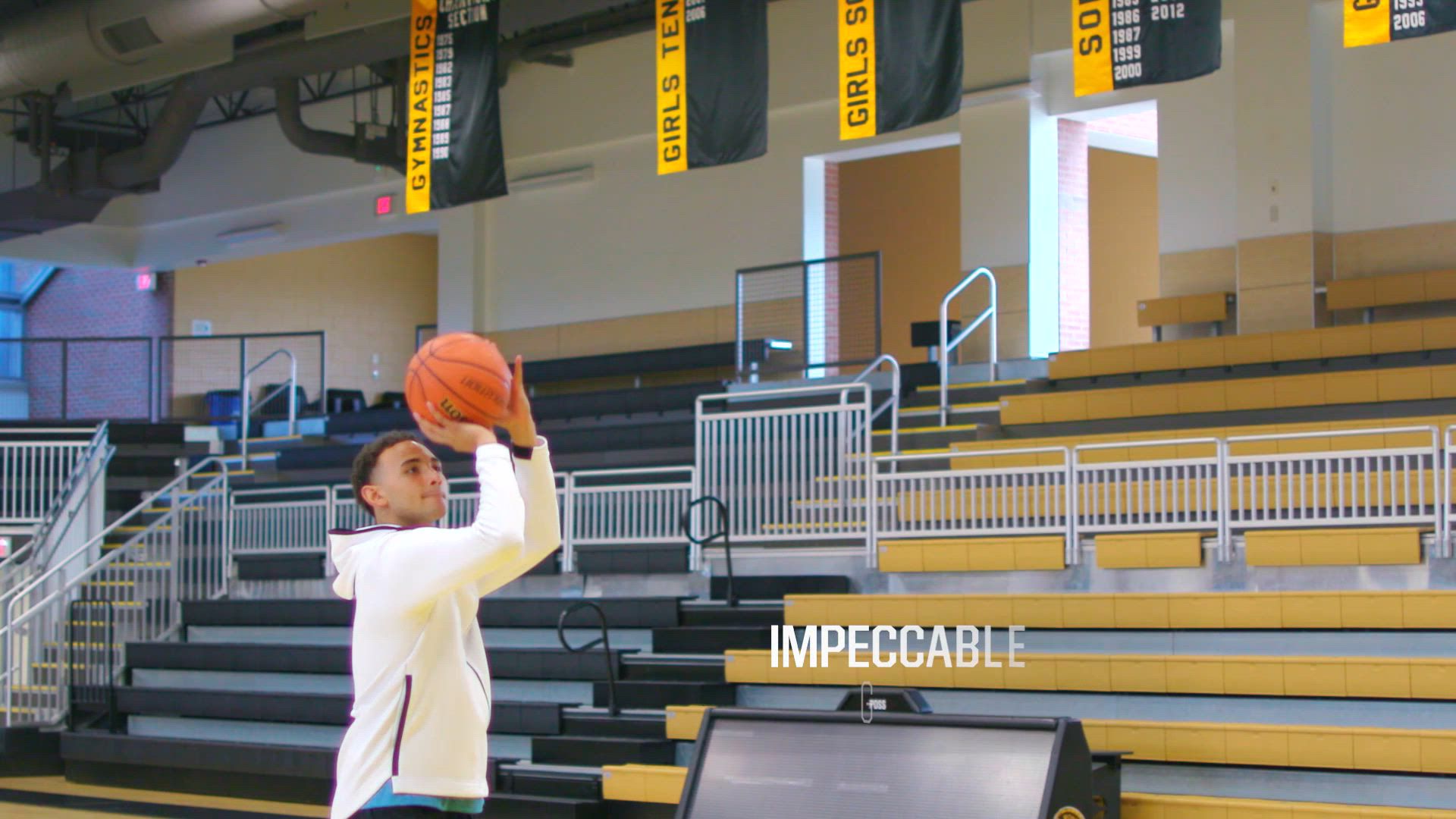 Wilson Evolution Game Basketball product