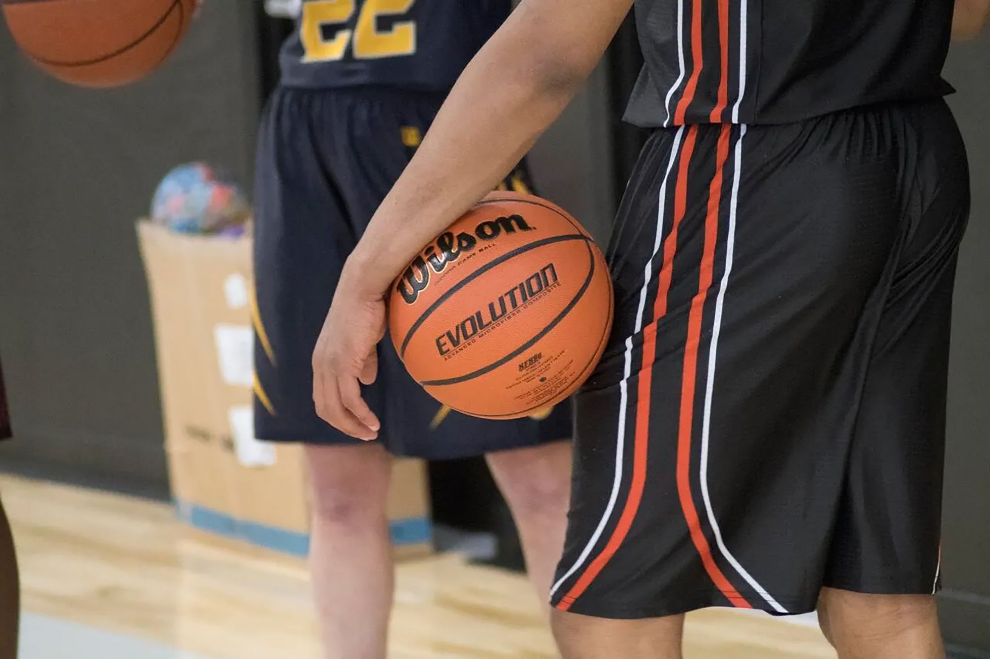 Wilson Evolution Game Basketball product image