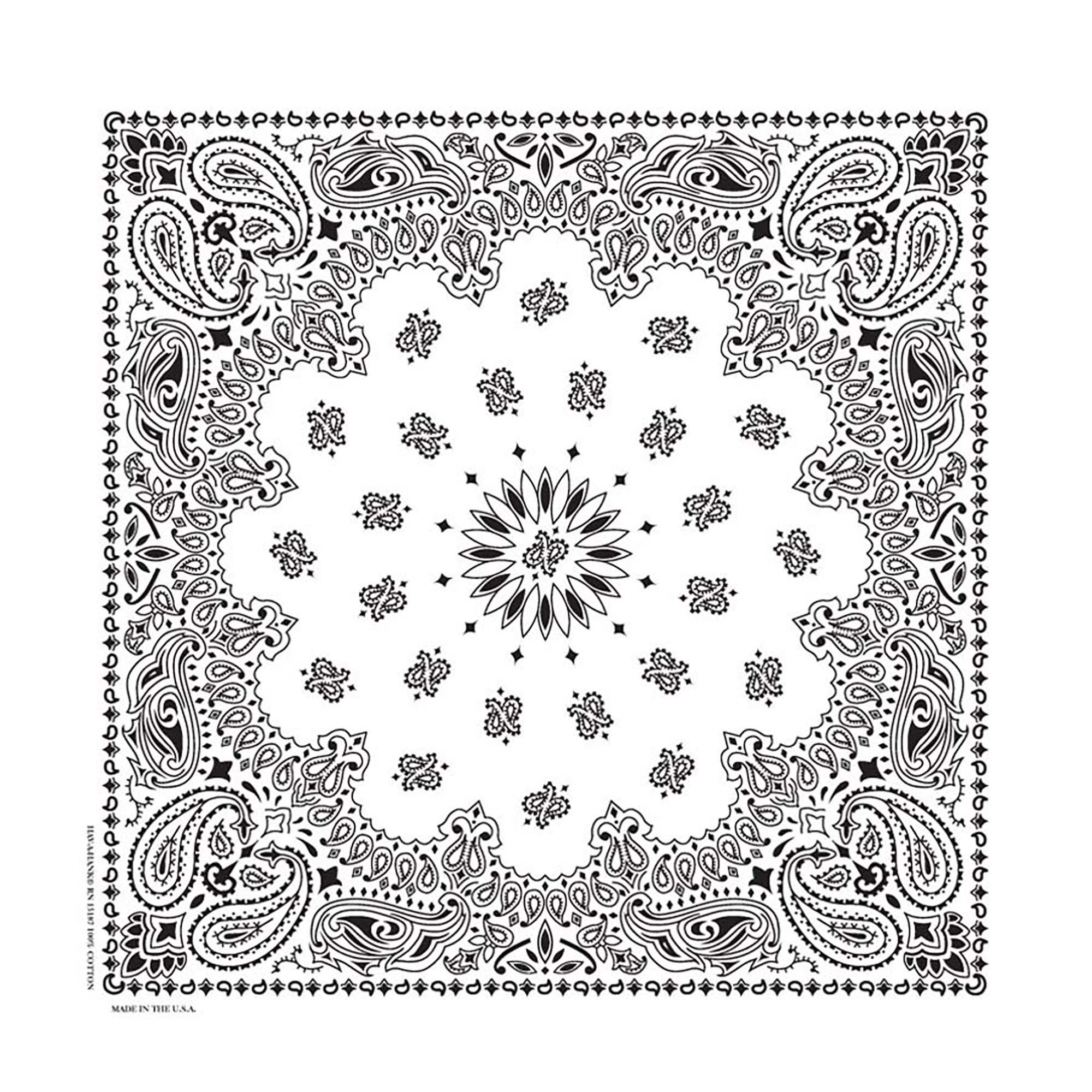 Hav-A-Hank Paisley Bandanna product image