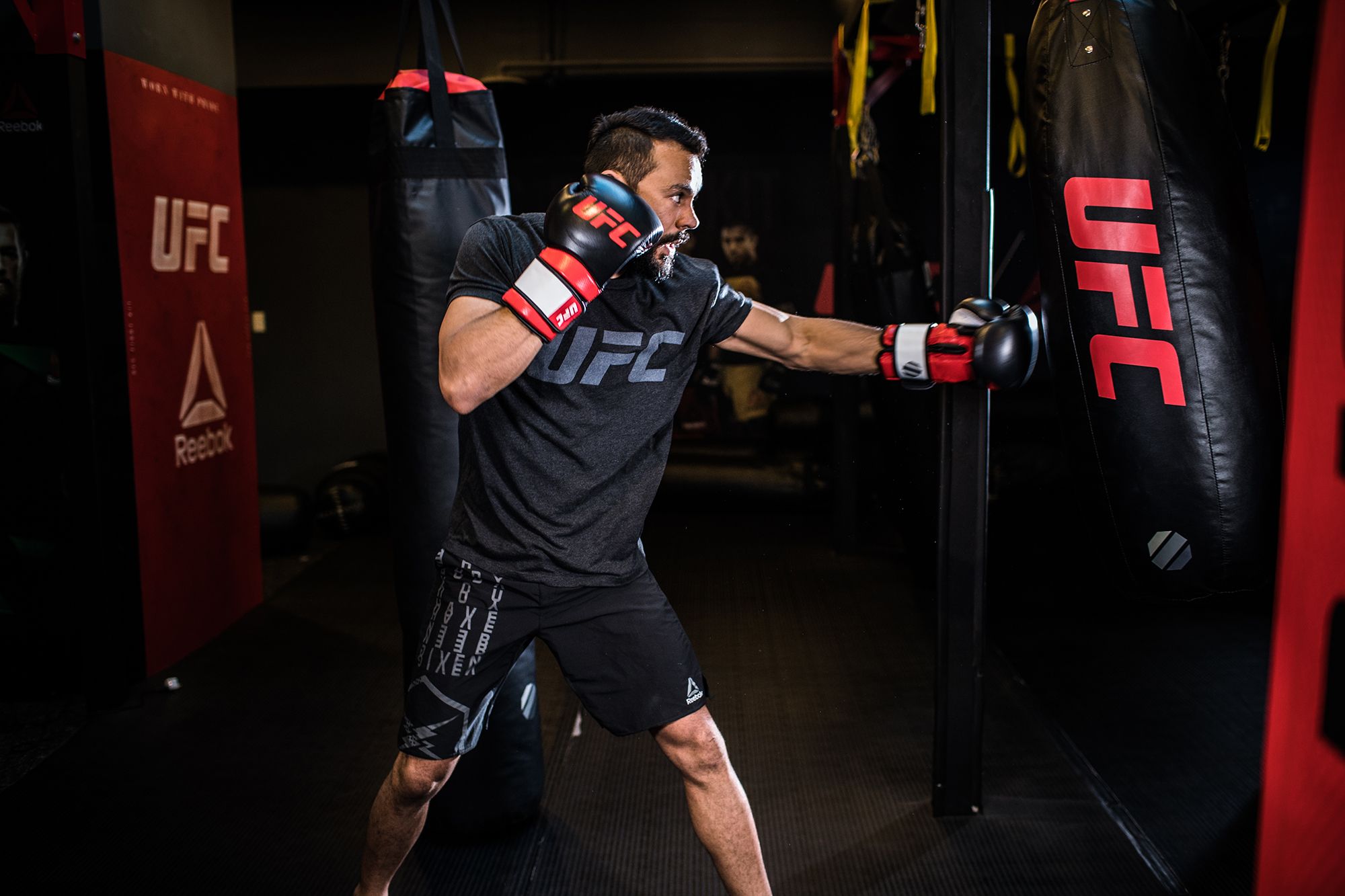 UFC Muay Thai Gloves product image