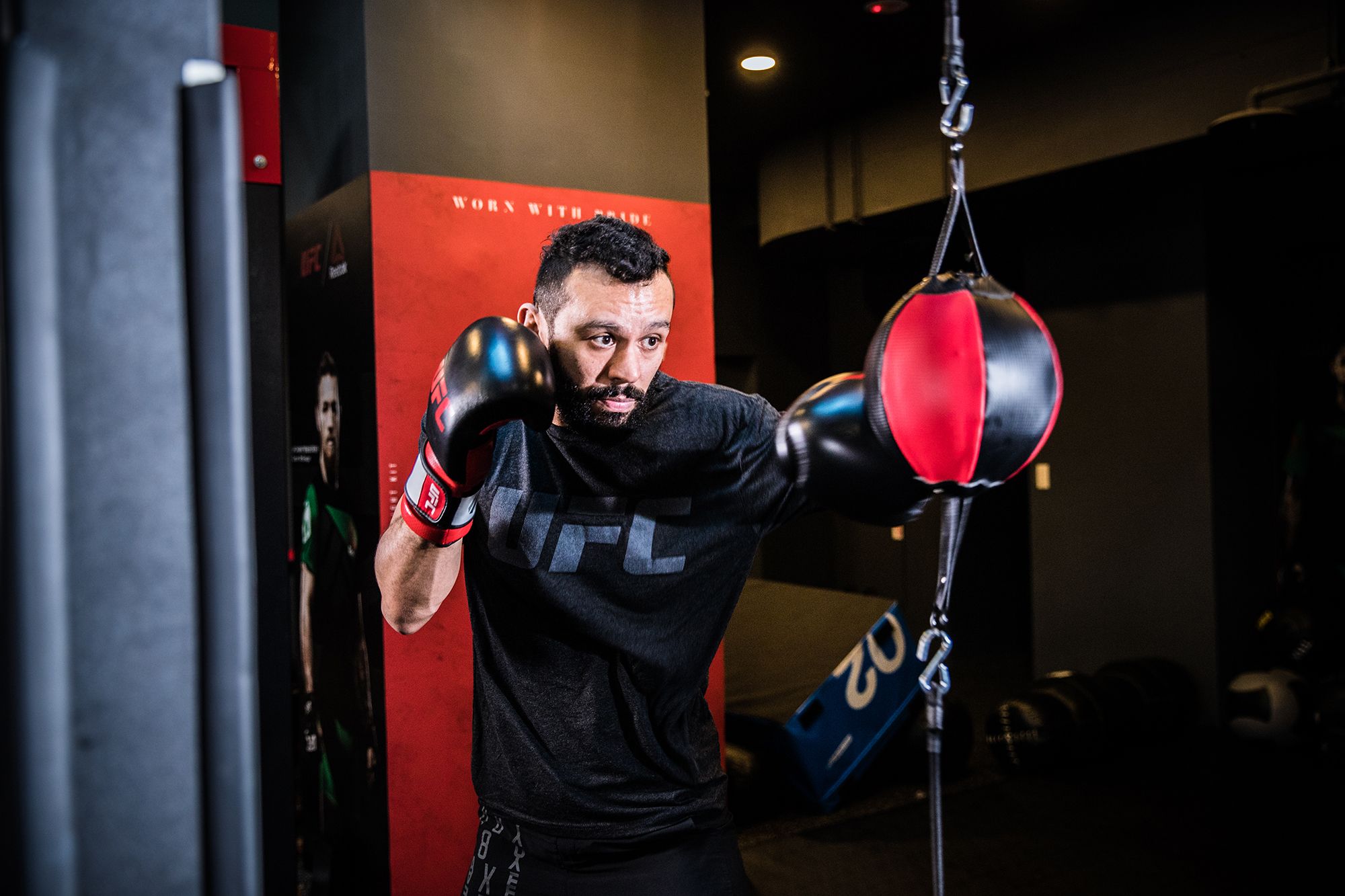 Dick's Sporting Goods UFC Double End Bag Hamilton Place