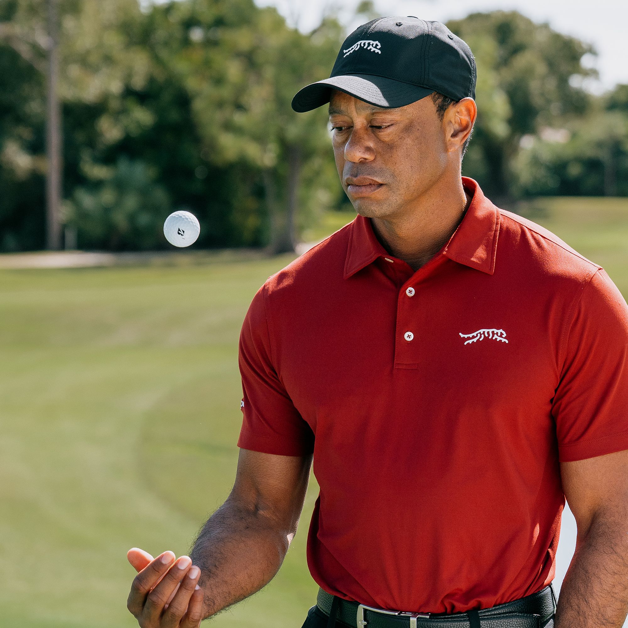 Bridgestone 2026 Tour B X Tiger Golf Balls product image