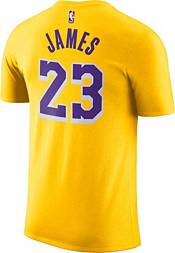 usted está Adivinar Haiku Nike Youth Los Angeles Lakers LeBron James Dri-FIT Gold T-Shirt | Dick's  Sporting Goods