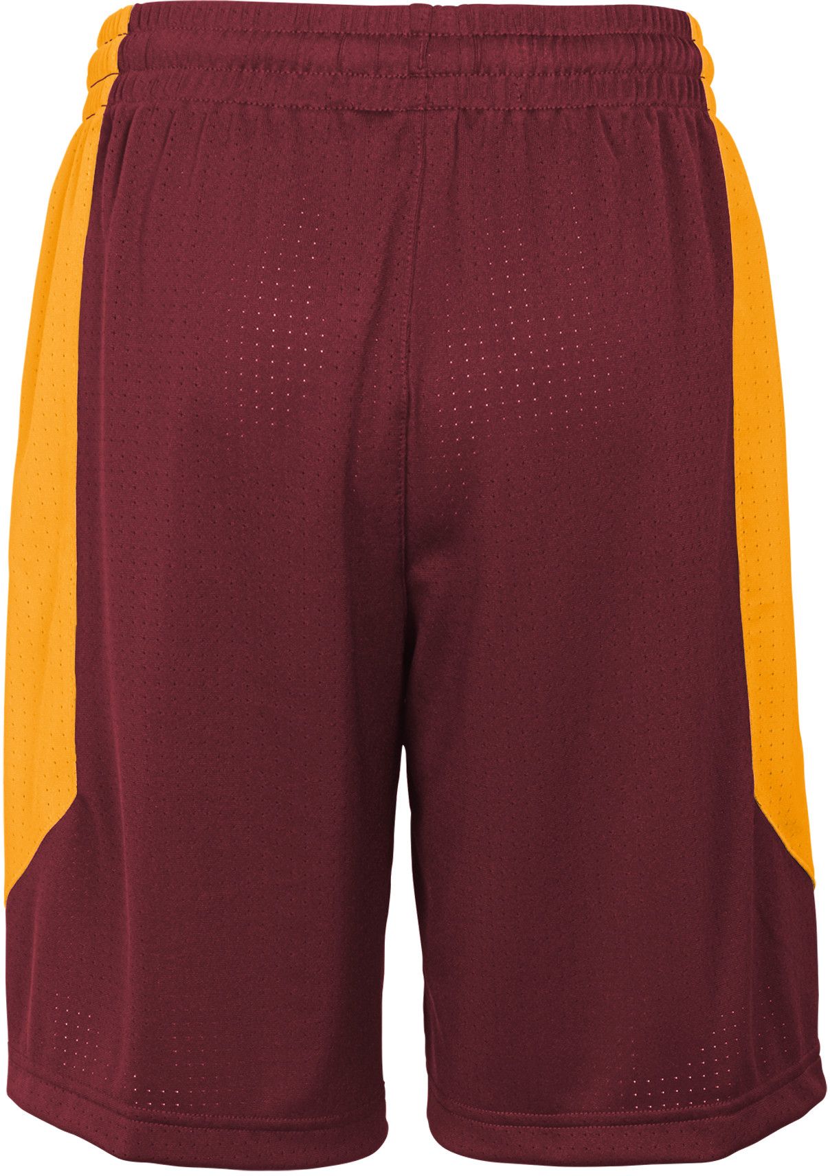 Nike Youth Cleveland Cavaliers Practice Shorts product image