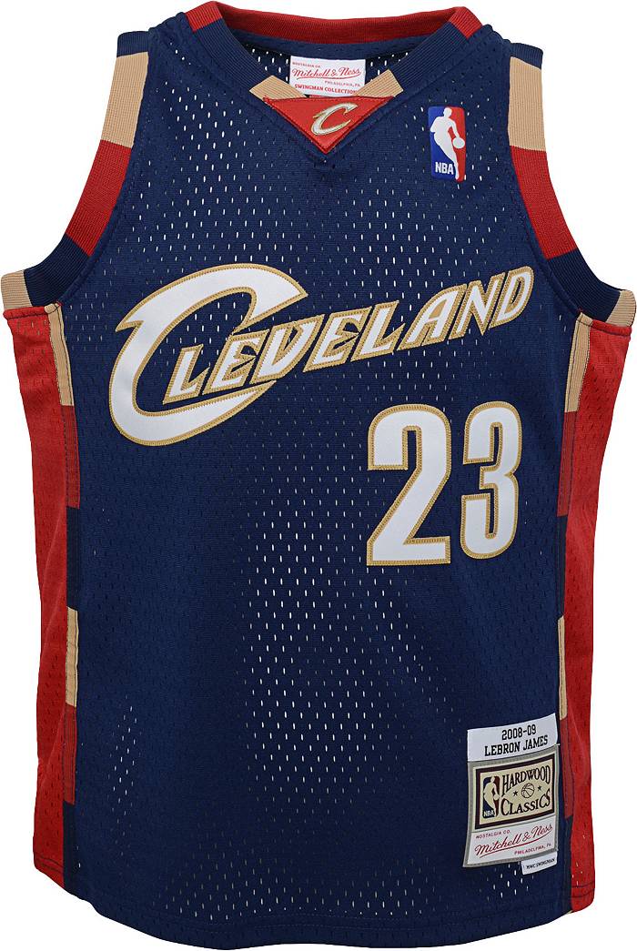 Nike Youth Cleveland Cavaliers LeBron James #6 Swingman Jersey
