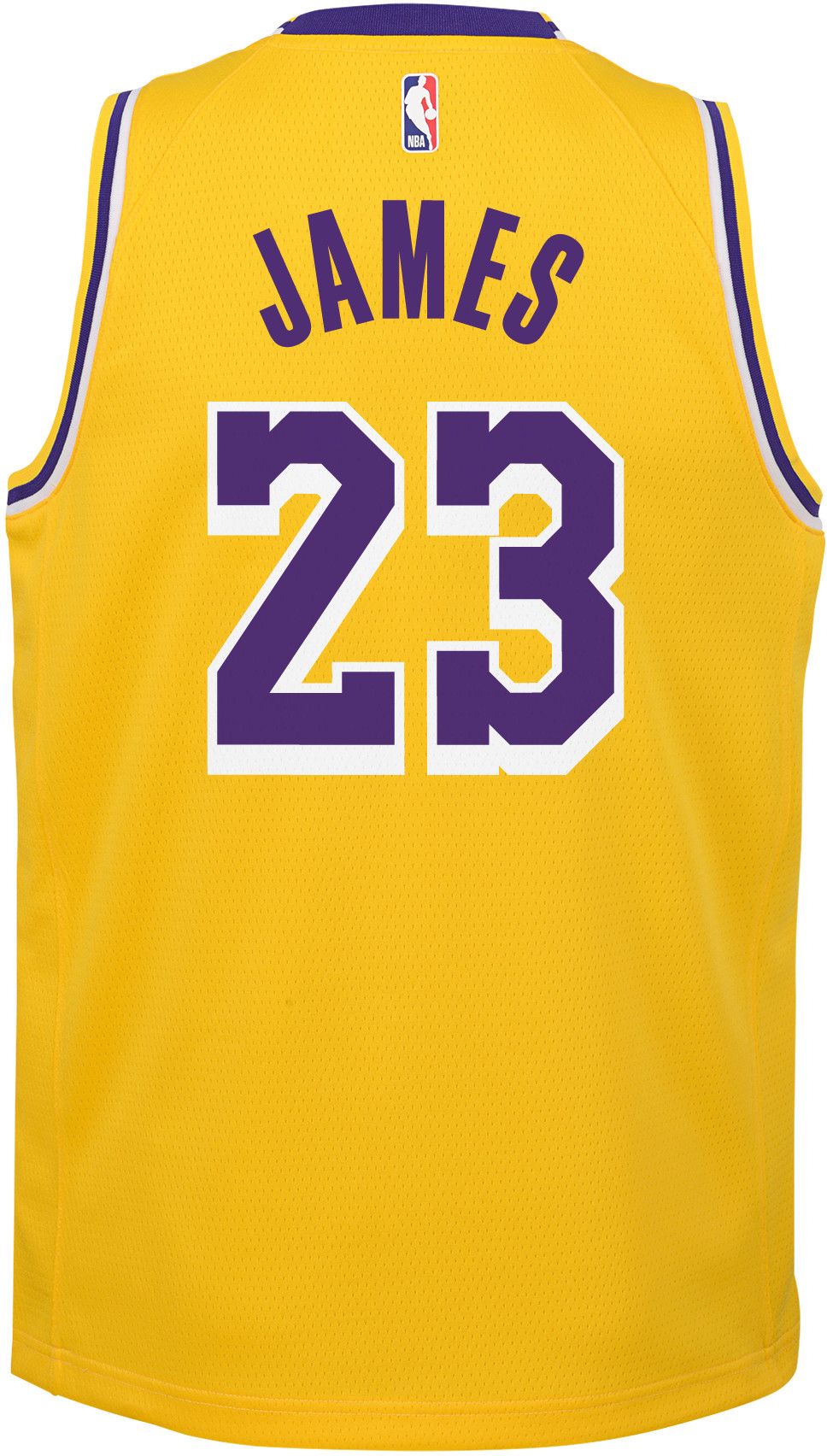 dicks lebron jersey