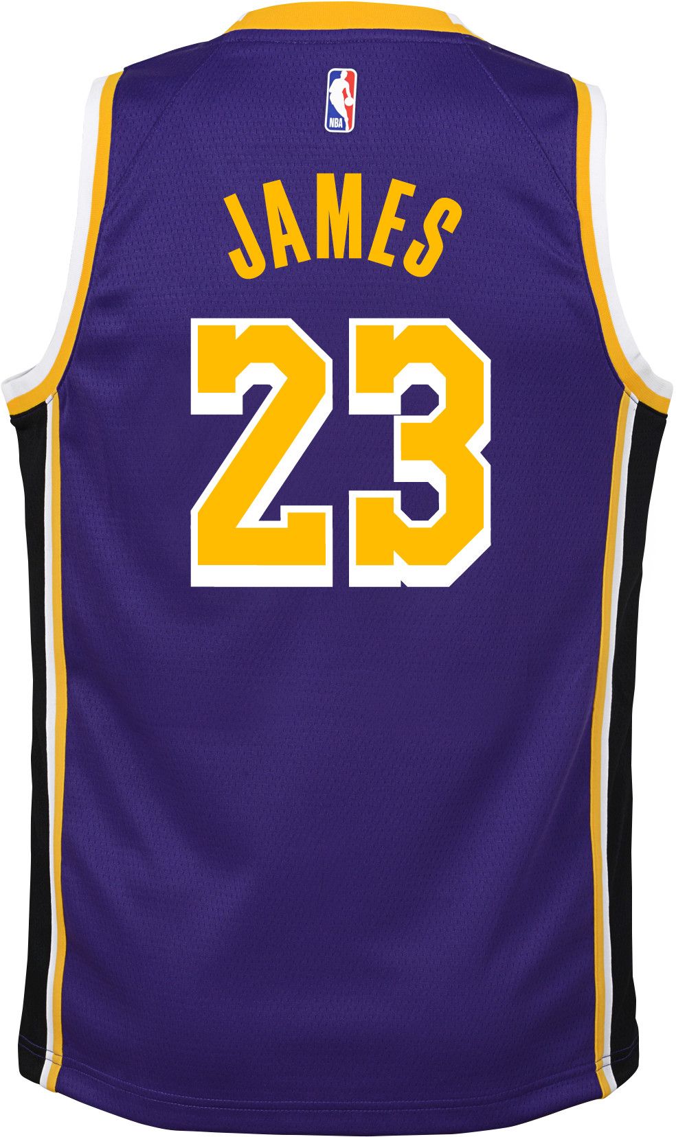 dicks lebron james jersey