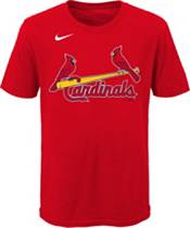 Nike Youth St. Louis Cardinals Dylan Carlson #3 Red T-Shirt