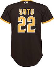 Juan Soto San Diego Padres Nike Road Replica Player Jersey - Brown