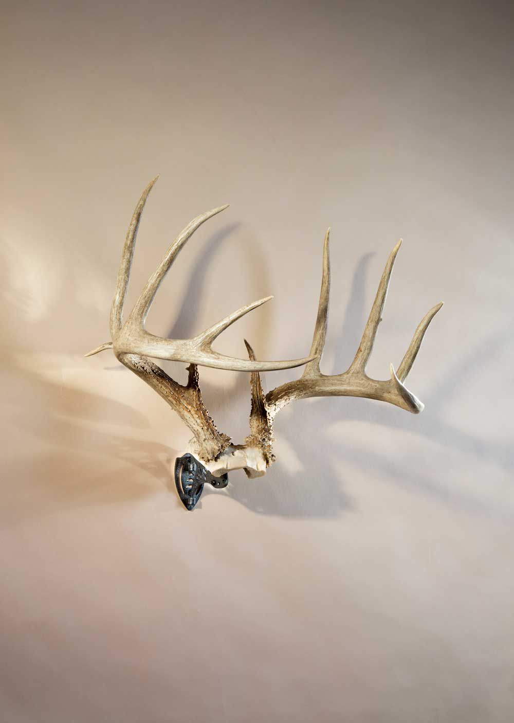 Skull Hooker Bone Bracket Skull Cap Mount product image