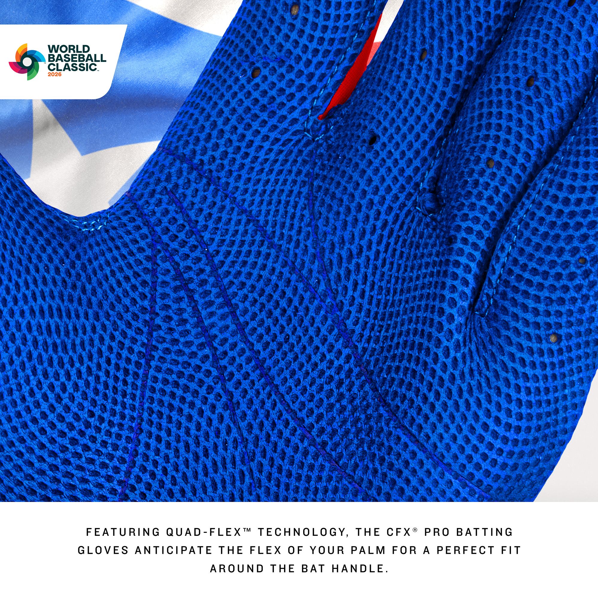 Franklin Adult CFX WBC USA Pro Batting Gloves product image