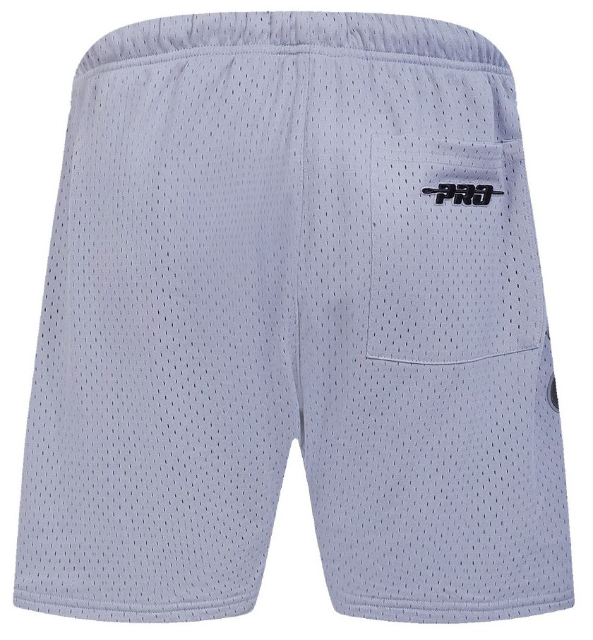 Pro Standard Men's Boston Celtics Gray Souvenir Mesh Shorts product image