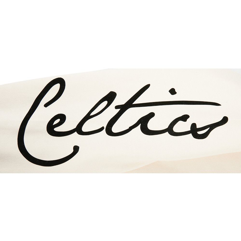 Pro Standard Men's Boston Celtics Off White Fire And Roses Washed Hoodie product image