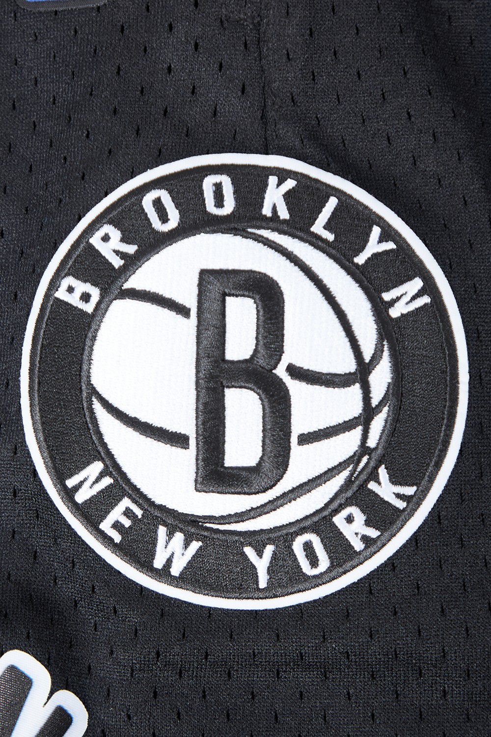 Pro Standard Men's Brooklyn Nets Black Classic Mesh Shorts product image