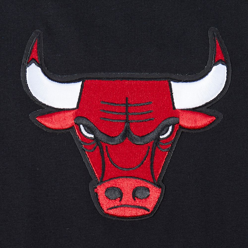 Pro Standard Men's Chicago Bulls Black Wingspan Drop Shoulder Short Sleeve T-Shirt product image
