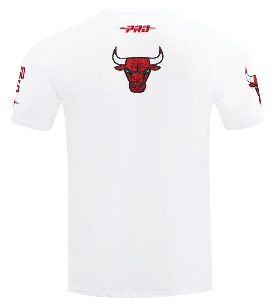 Pro Standard Men's Chicago Bulls White City Arch T-Shirt product image