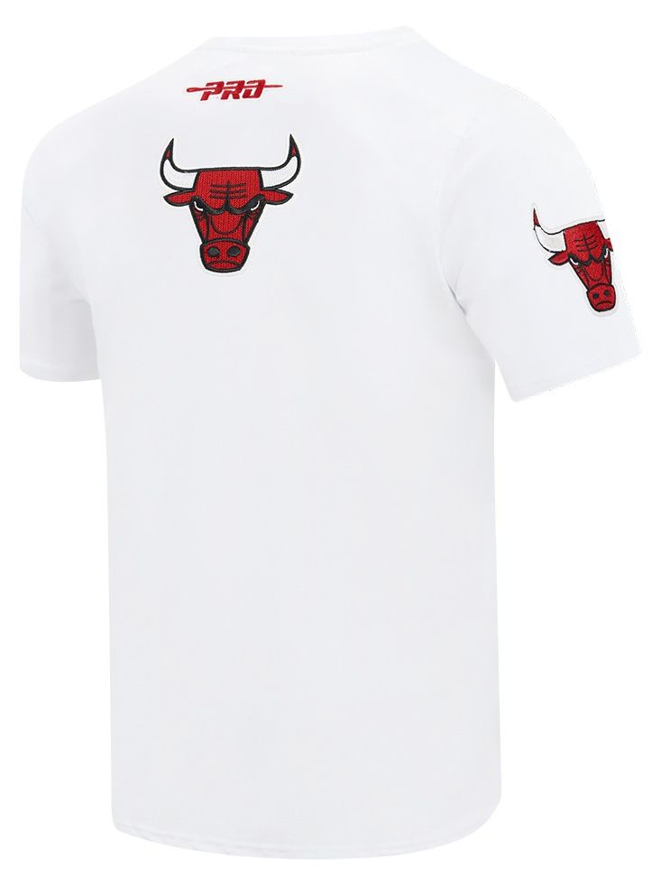 Pro Standard Men's Chicago Bulls White City Arch T-Shirt product image