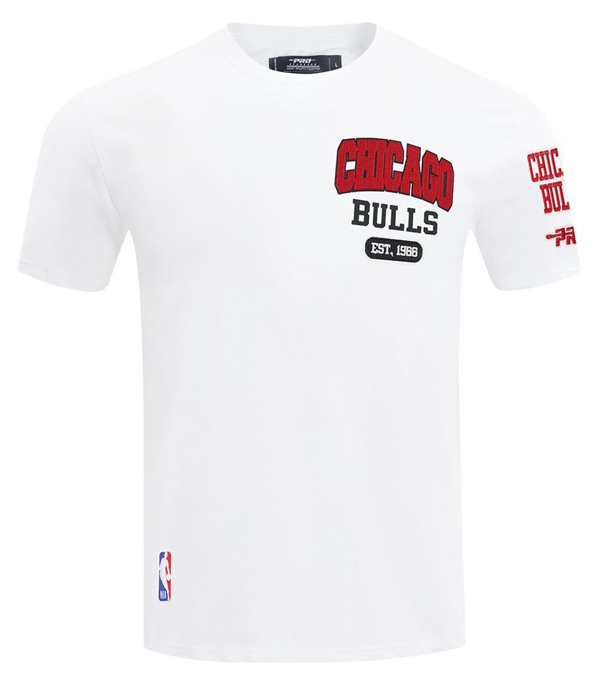 Pro Standard Men's Chicago Bulls White City Arch T-Shirt product image