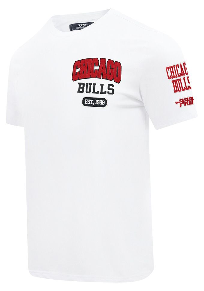 Pro Standard Men's Chicago Bulls White City Arch T-Shirt product image
